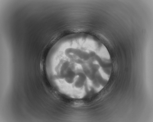 X0000111820214200909031457