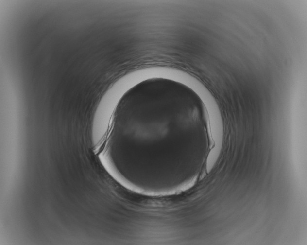 X0000111820223200909031457