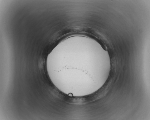 X0000111820225200909031457