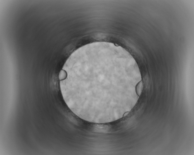 X0000111820234200909031457