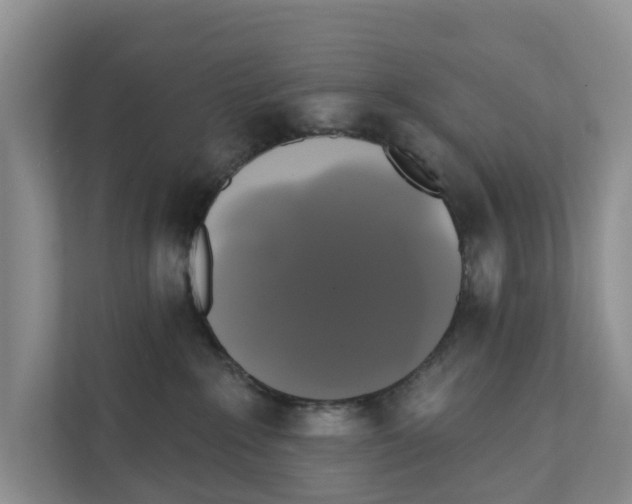X0000111820235200909031457