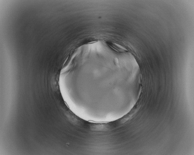 X0000111820237200909031457