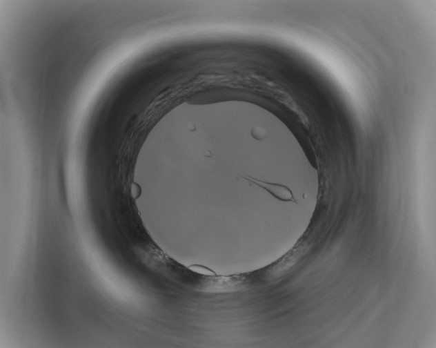 X0000111820239200909031457