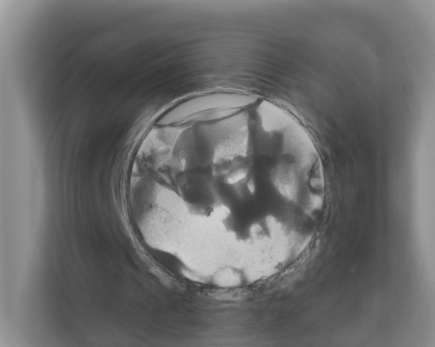 X0000111820241200909031456