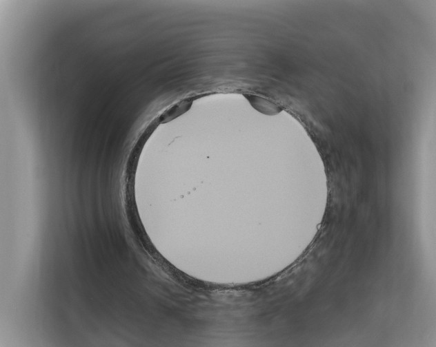 X0000111820242200909031456