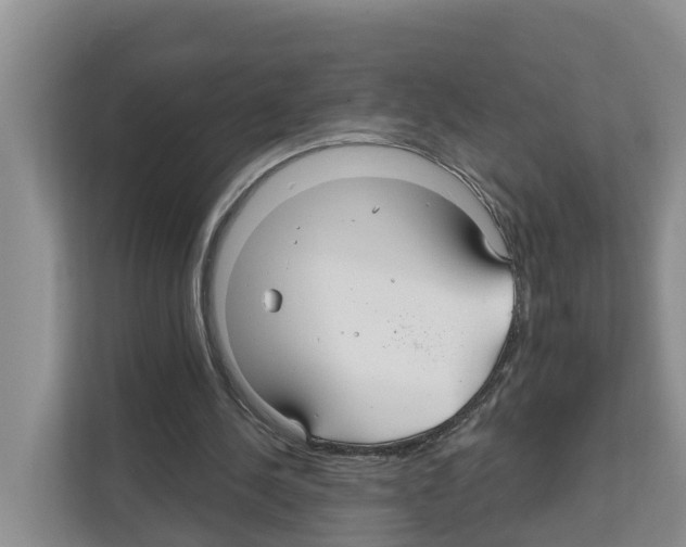 X0000111820244200909031456
