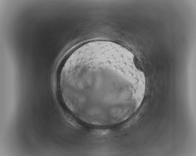 X0000111820247200909031456