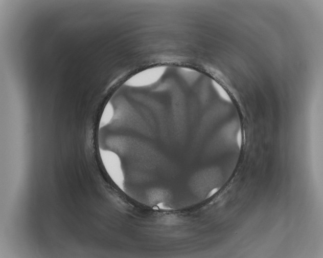 X0000111820249200909031456