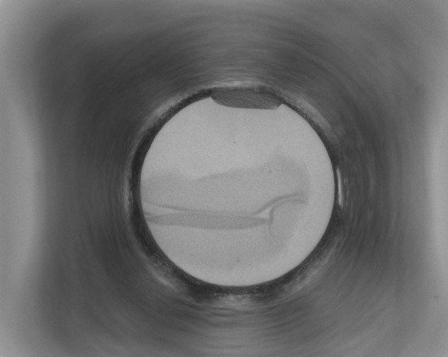 X0000111820252200909031456
