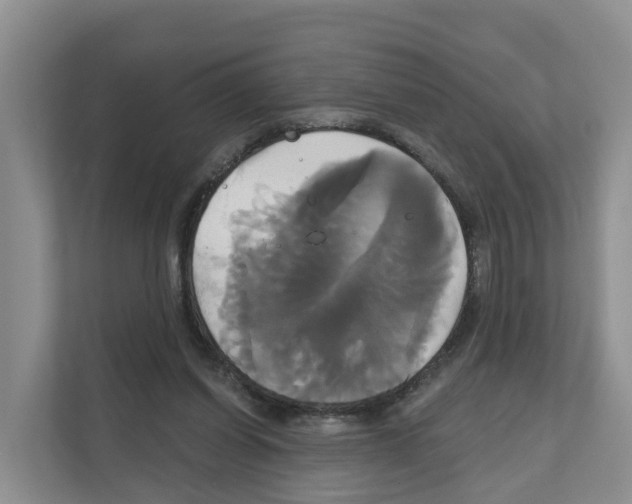 X0000111820254200909031456