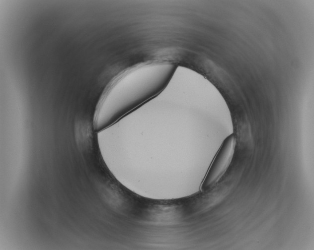 X0000111820260200909031456