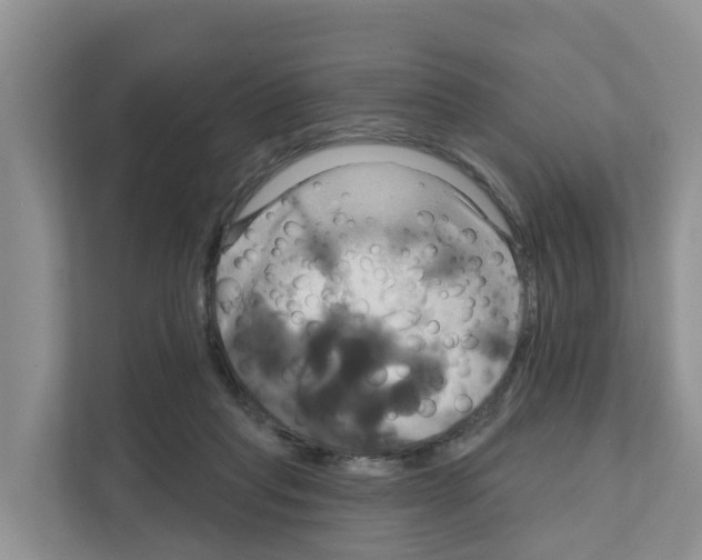 X0000111820261200909031456
