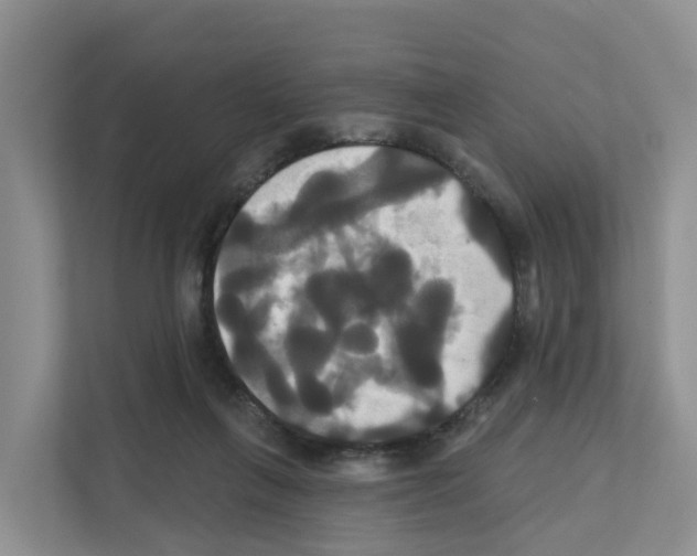 X0000111820263200909031456