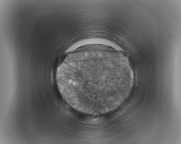 X0000111820267200909031456
