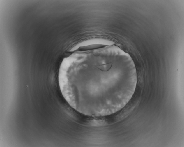 X0000111820270200909031456