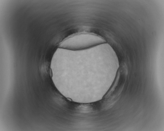 X0000111820280200909031456