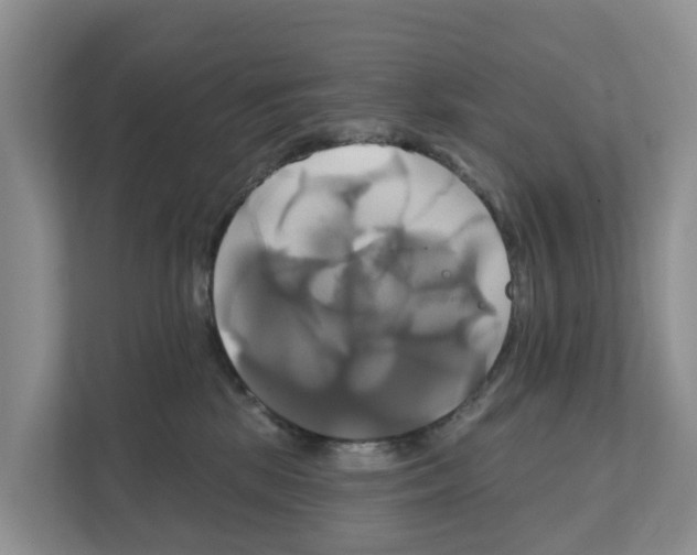 X0000111820281200909031456