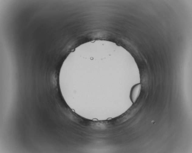 X0000111820282200909031456