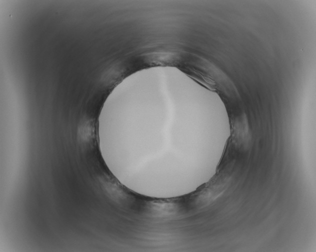 X0000111820284200909031456
