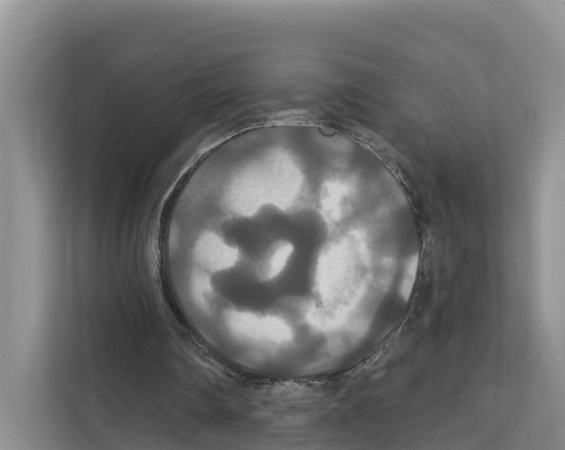 X0000111820290200909031456