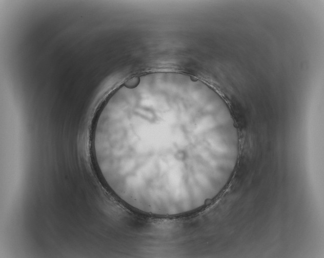 X0000111820293200909031456