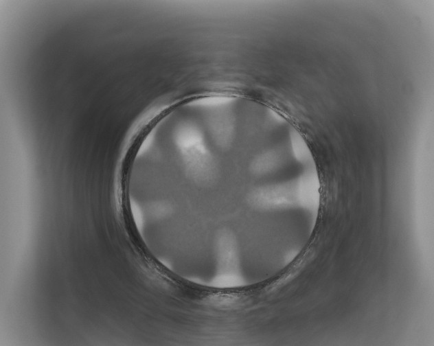 X0000111820294200909031456