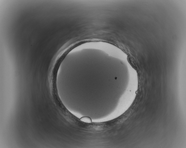 X0000111820295200909031456