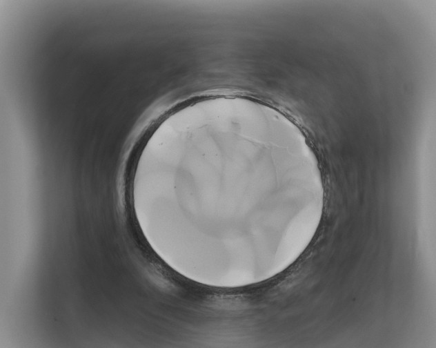X0000111820296200909031456