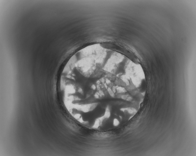 X0000111820299200909031456