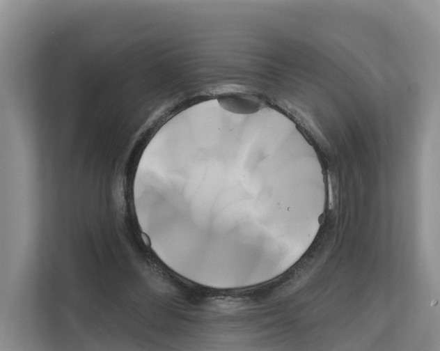 X0000111820300200909031456