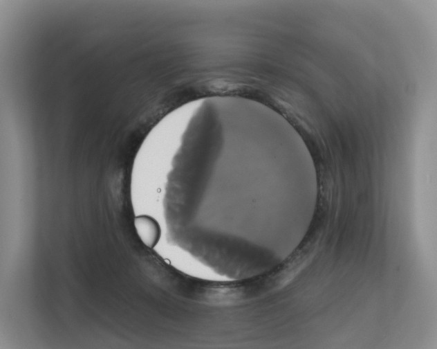 X0000111820319200909031456