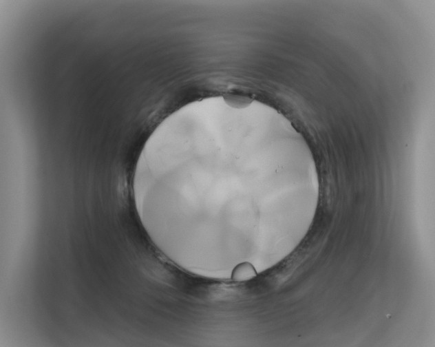 X0000111820320200909031455