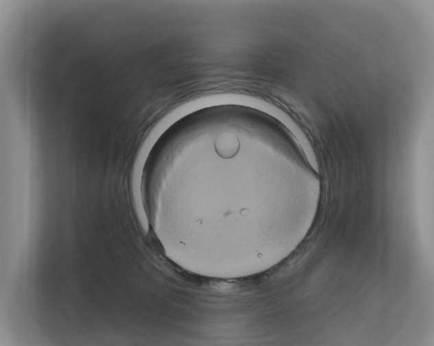 X0000111820325200909031455