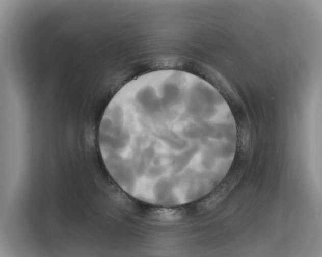 X0000111820326200909031455