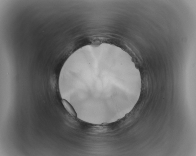 X0000111820328200909031455