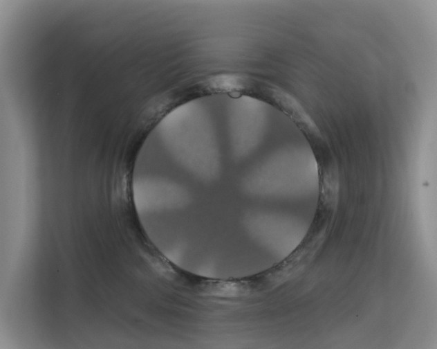 X0000111820330200909031455