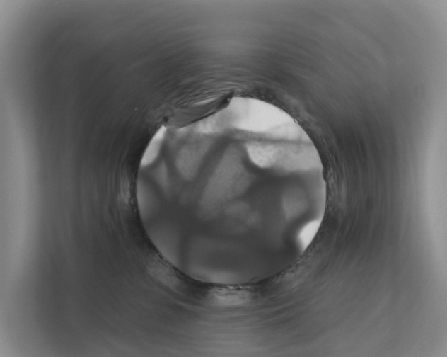 X0000111820331200909031455