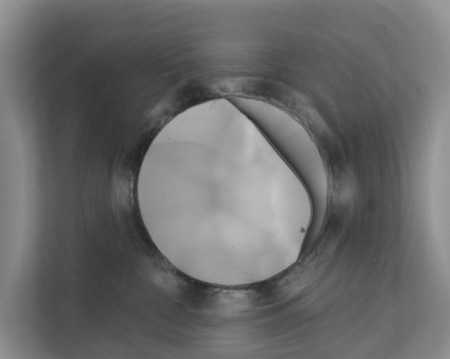 X0000111820332200909031455