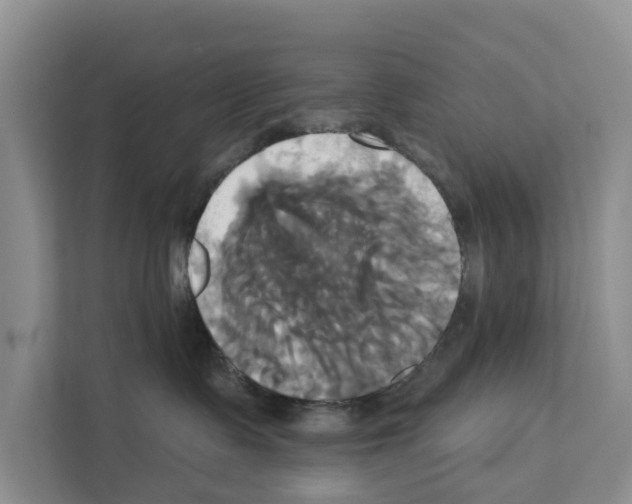 X0000111820335200909031455