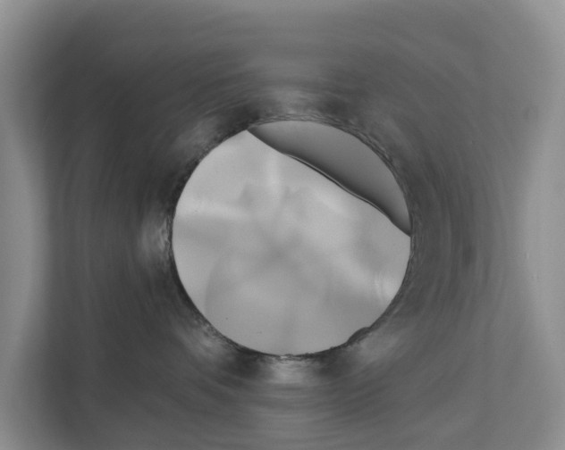 X0000111820336200909031455