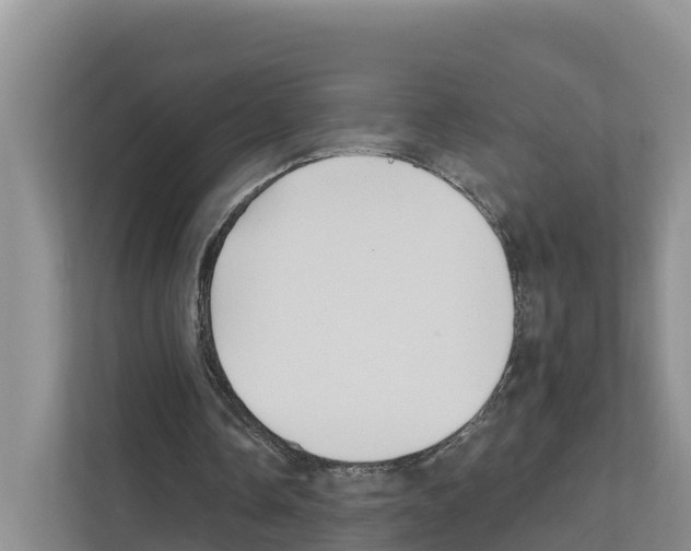 X0000111820338200909031455