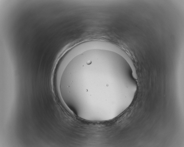 X0000111820340200909031455