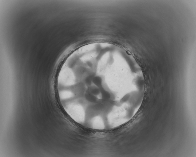 X0000111820341200909031455