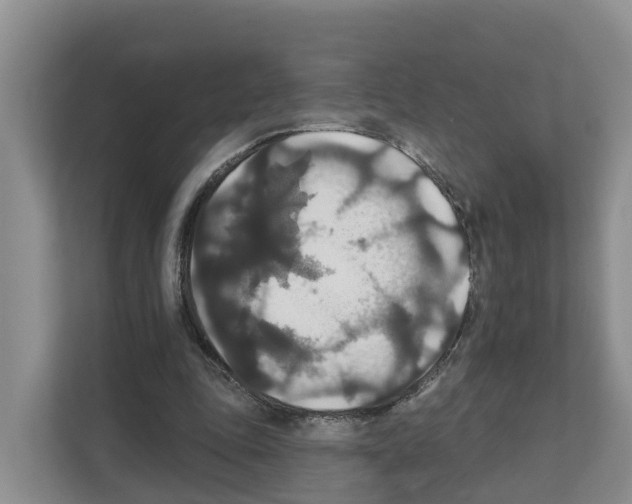 X0000111820343200909031455
