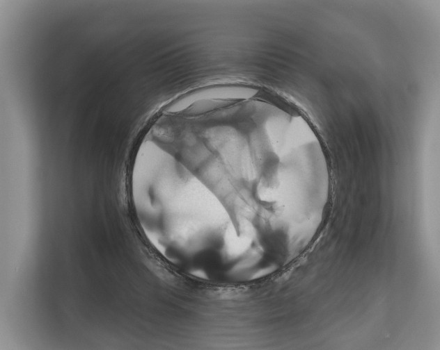 X0000111820345200909031455