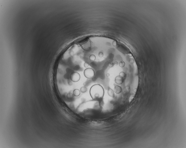 X0000111820346200909031455