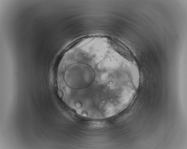 X0000111820347200909031455