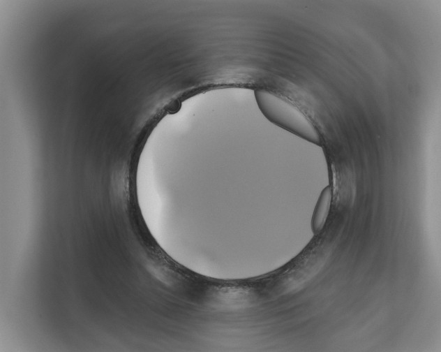 X0000111820348200909031455