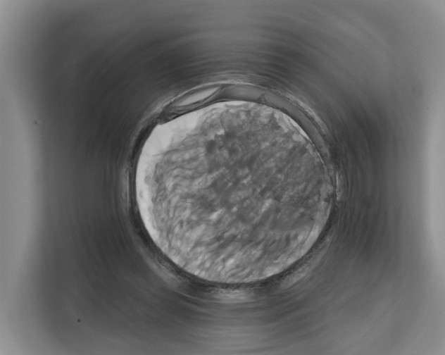 X0000111820349200909031455
