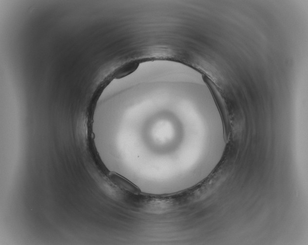 X0000111820350200909031455